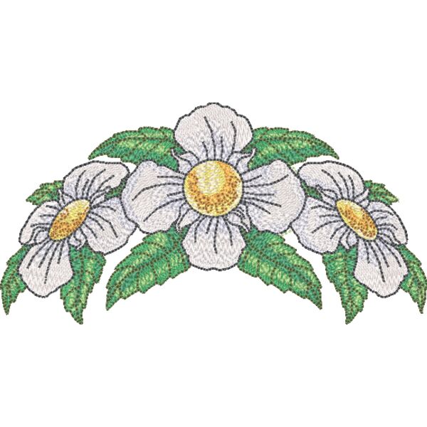 NZ089 Thumbnail